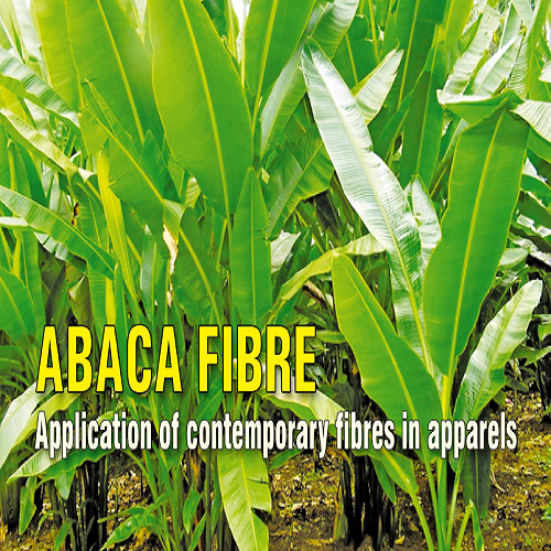 Abaca