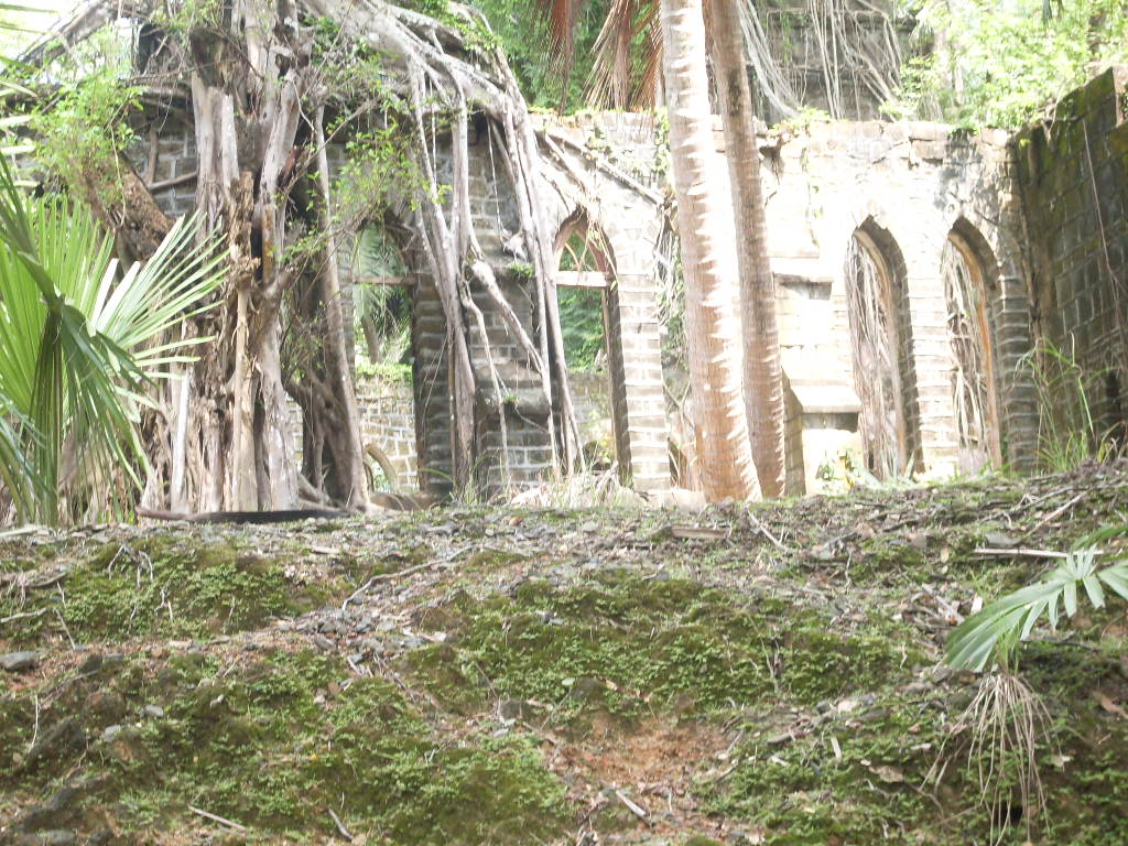 SDC11831.JPG