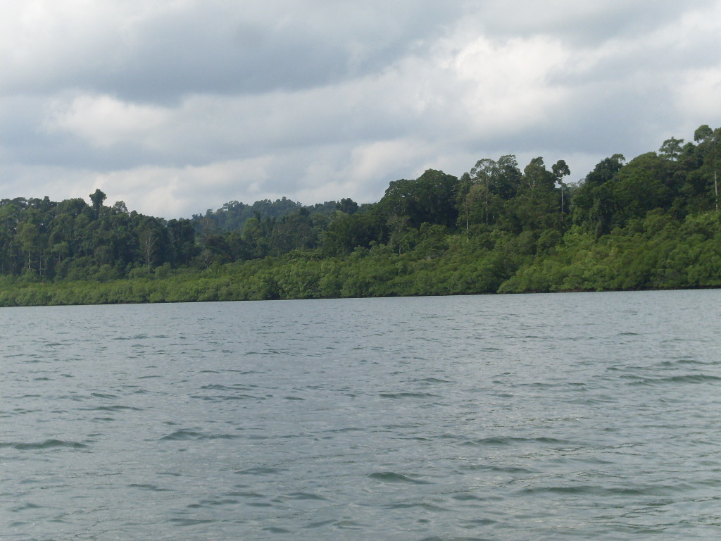 SDC12063.JPG