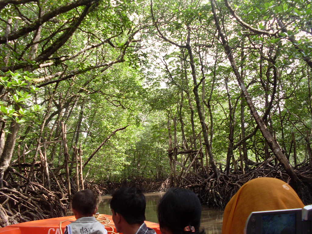 SDC12096.JPG