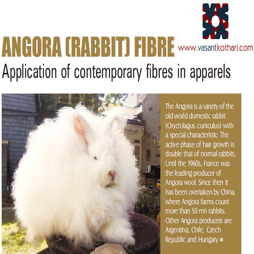 Angora