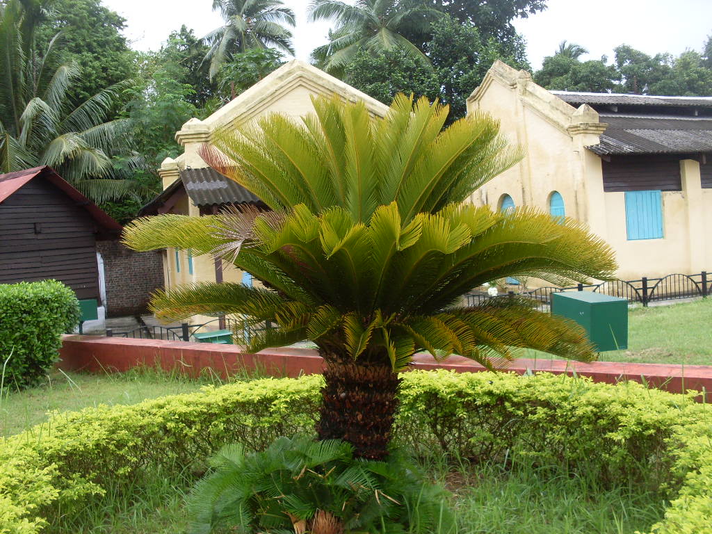 SDC12002.JPG