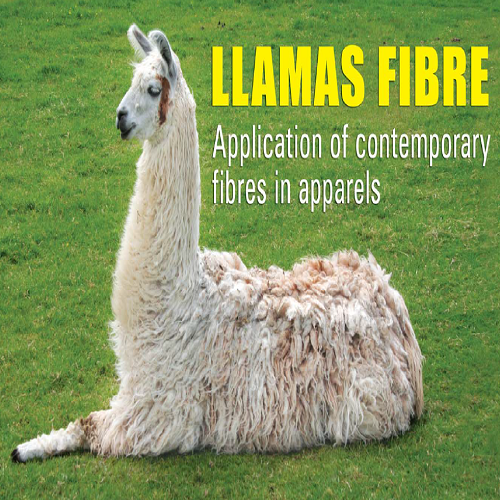 Llamas
