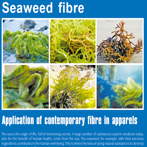 Seaweed