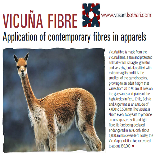 Vicuna
