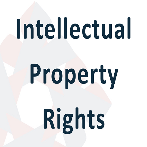 Intellectual Property Rights